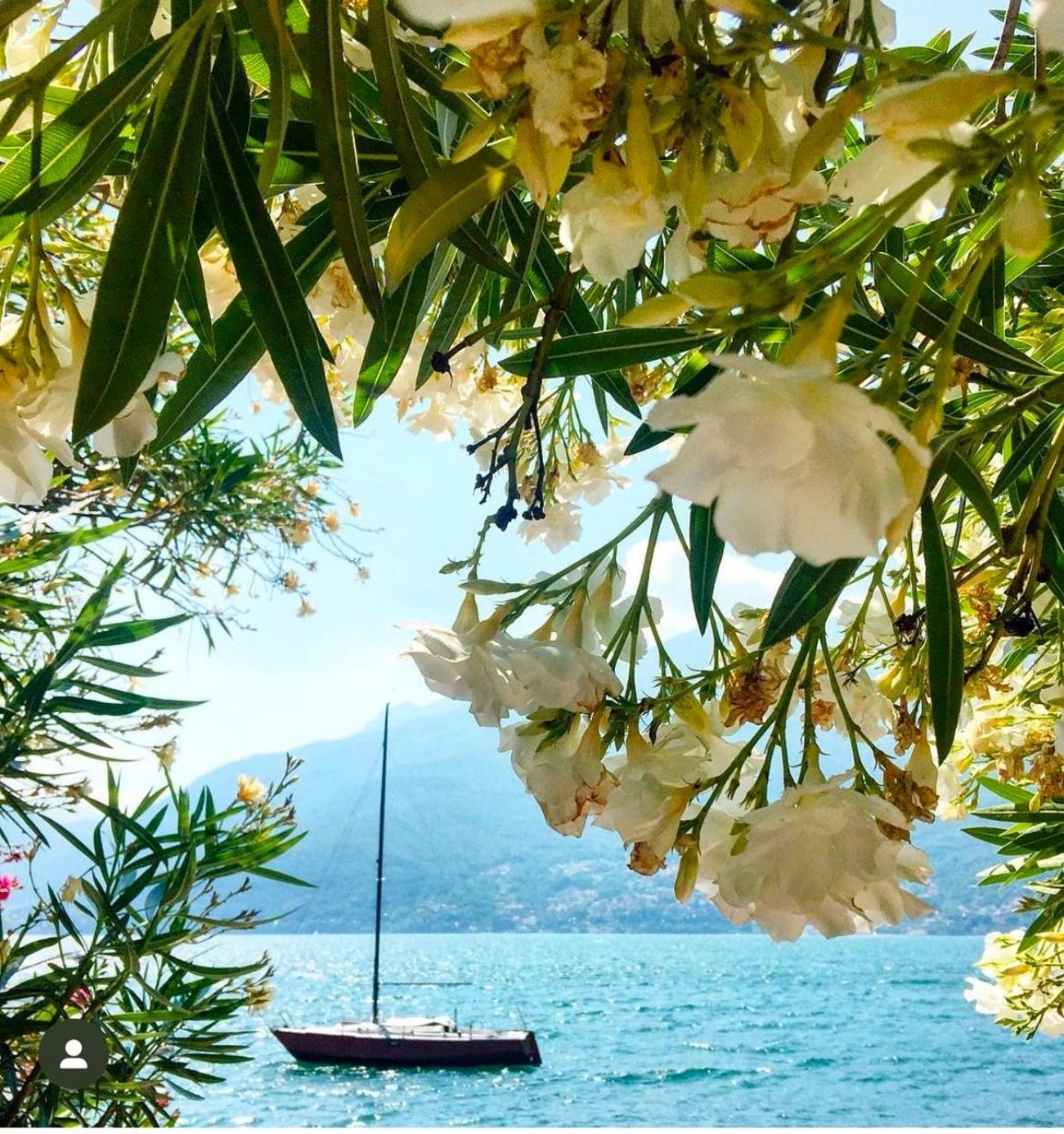 Casa Didi & Rosi - Lake Como Колико Экстерьер фото